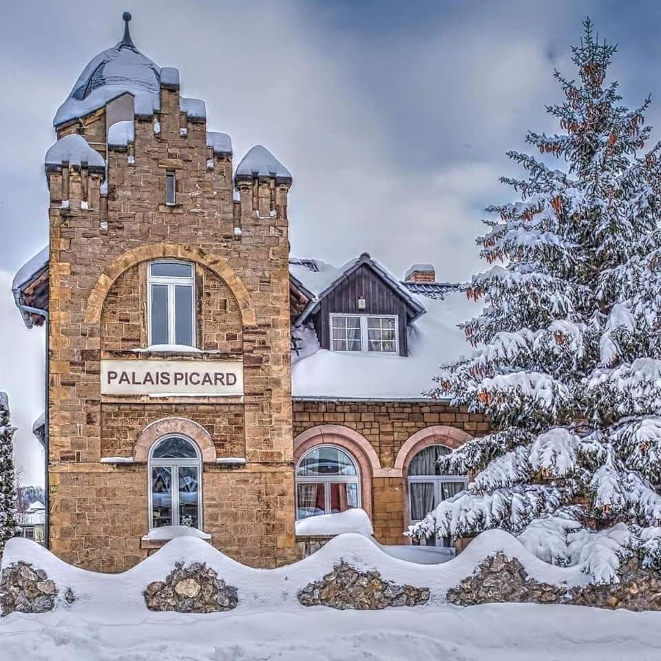 Palais Picard Westfluegel Villa Thale Dış mekan fotoğraf