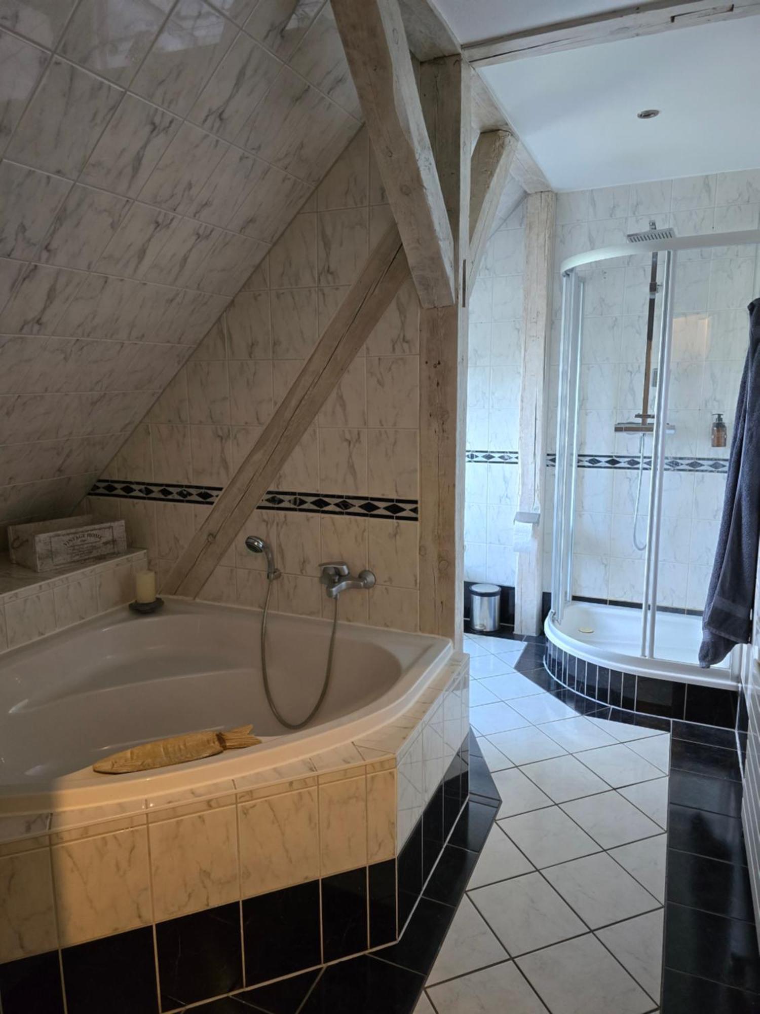 Palais Picard Westfluegel Villa Thale Dış mekan fotoğraf